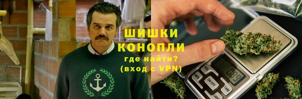 стаф Белокуриха
