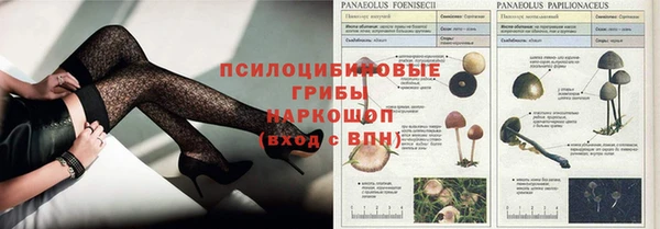 гашик Белоозёрский