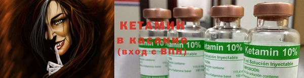 стаф Белокуриха