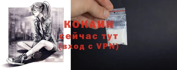 стаф Белокуриха