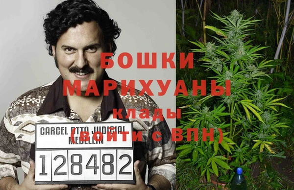 стаф Белокуриха