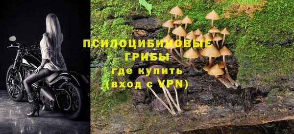 каннабис Беломорск