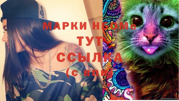 гашик Белоозёрский
